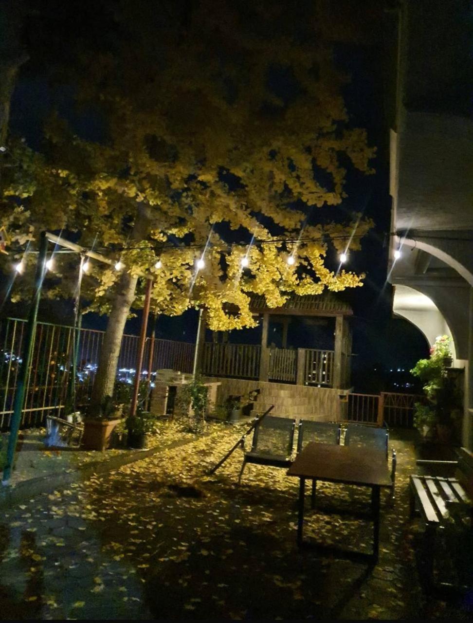 فندق Gt House باتومي المظهر الخارجي الصورة