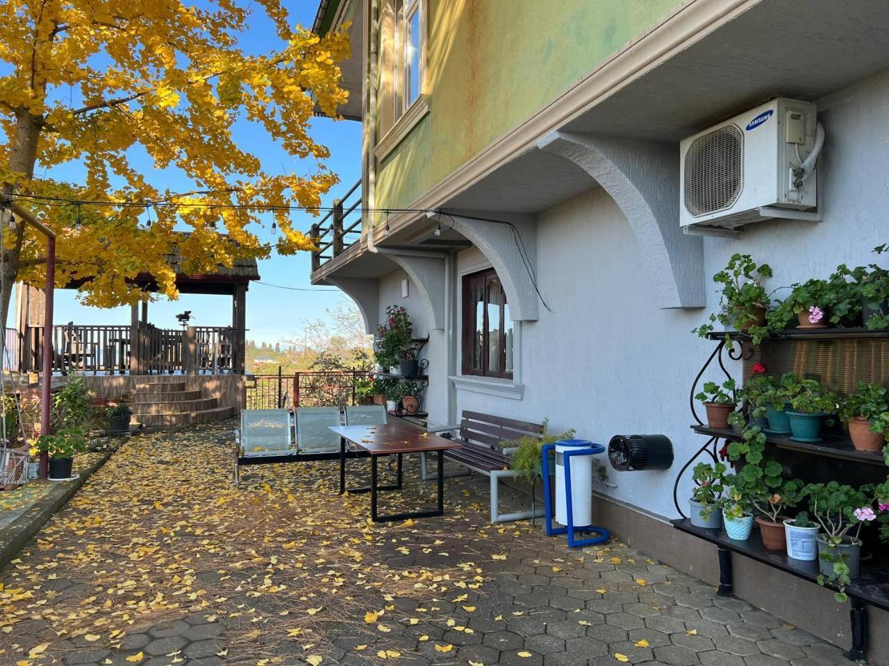 فندق Gt House باتومي المظهر الخارجي الصورة
